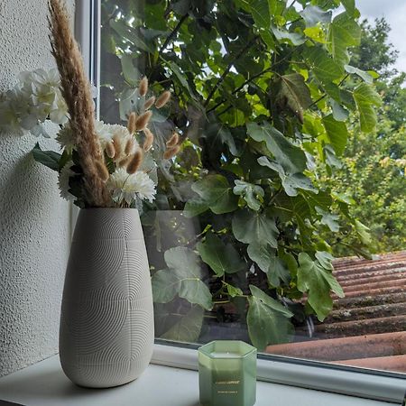Evasion Verte En Alsace ! Niederschaeffolsheim Bagian luar foto